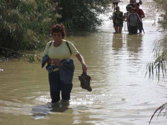 Pulsa para ver la imagen a tamaño completo