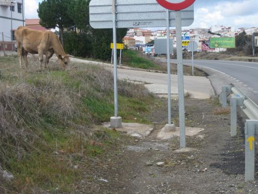 Pulsa para ver la imagen a tamaño completo