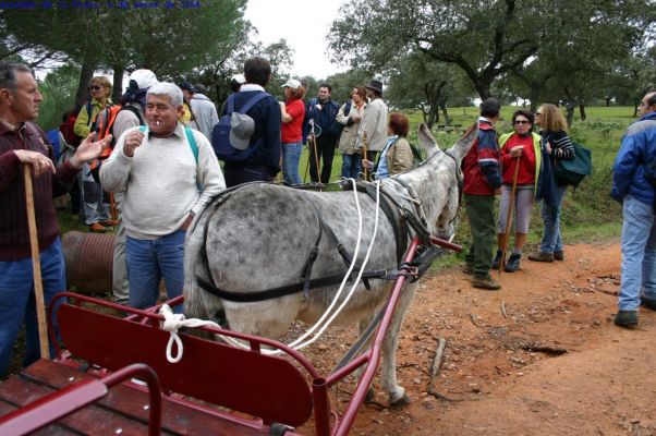 Pulsa para ver la imagen a tamaño completo