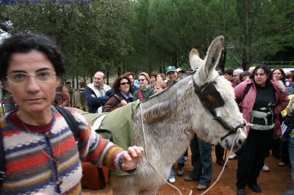 Pulsa para ver la imagen a tamaño completo