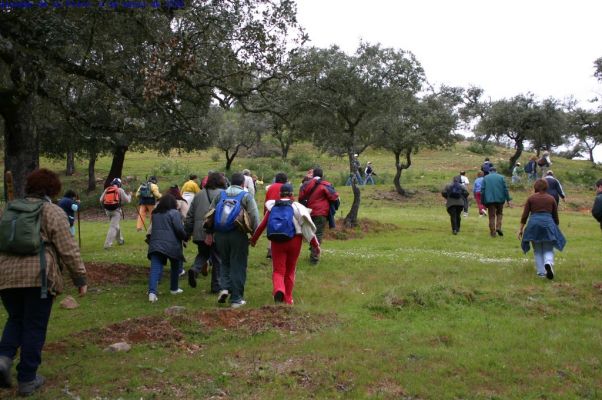 Pulsa para ver la imagen a tamaño completo