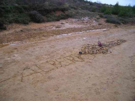 Pulsa para ver la imagen a tamaño completo