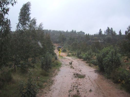 Pulsa para ver la imagen a tamaño completo