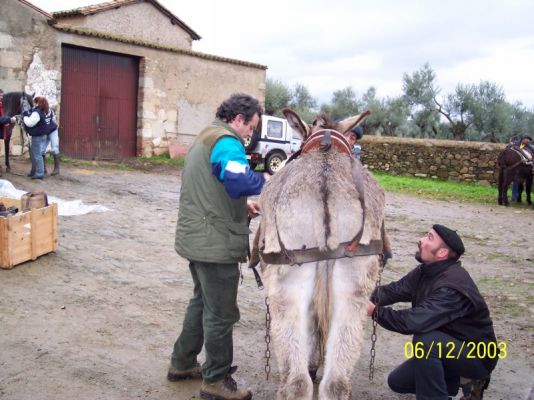 Pulsa para ver la imagen a tamaño completo