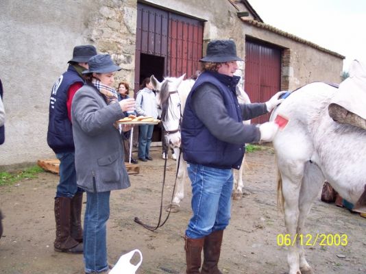 Pulsa para ver la imagen a tamaño completo