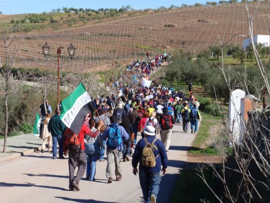 Pulsa para ver la imagen a tamaño completo