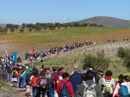 Pulsa para ver la imagen a tamaño completo