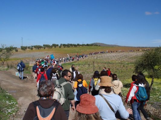 Pulsa para ver la imagen a tamaño completo