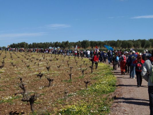 Pulsa para ver la imagen a tamaño completo