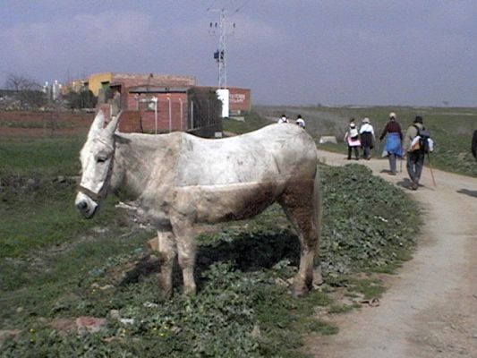 Pulsa para ver la imagen a tamaño completo