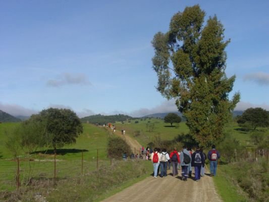 Pulsa para ver la imagen a tamaño completo