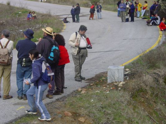 Pulsa para ver la imagen a tamaño completo