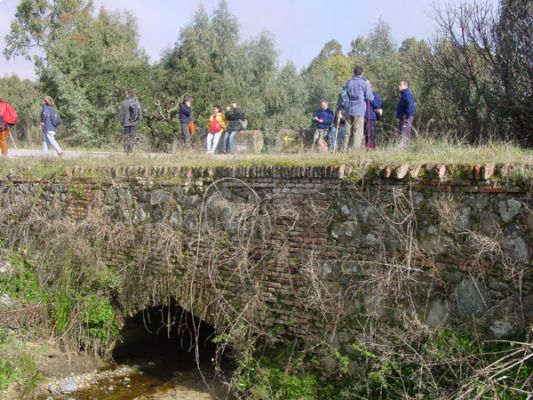 Pulsa para ver la imagen a tamaño completo