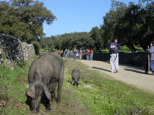 Pulsa para ver la imagen a tamaño completo