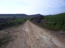 003_Camino2008_0215.JPG