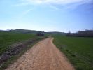 009_Camino2008_0100.JPG