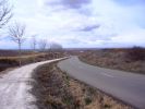 013_Camino2008_0130.JPG