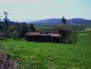 024_Camino2008_0270.JPG