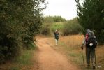 Camino_Santiago_2009__416.jpg