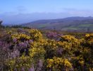 IMGP5843_Colores_en_serra_de_Ligonde.JPG