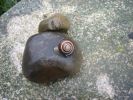 caracol.JPG